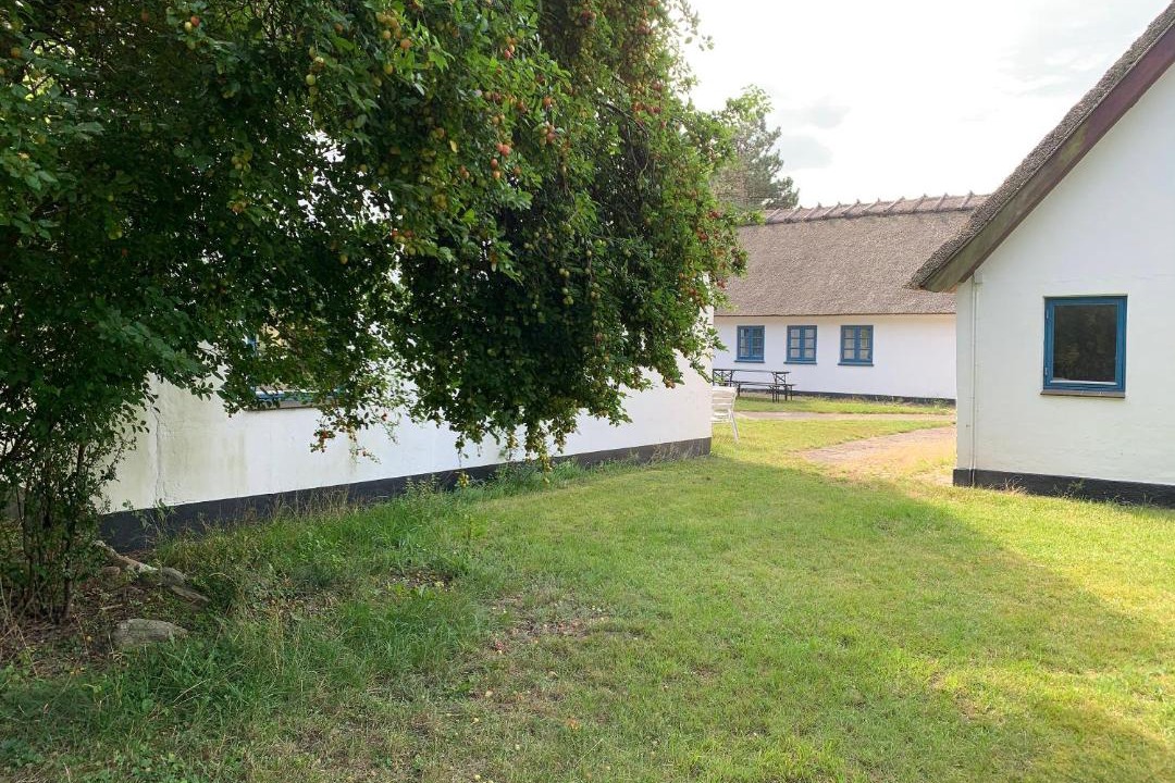 Photo of Others in Hoeve Strand