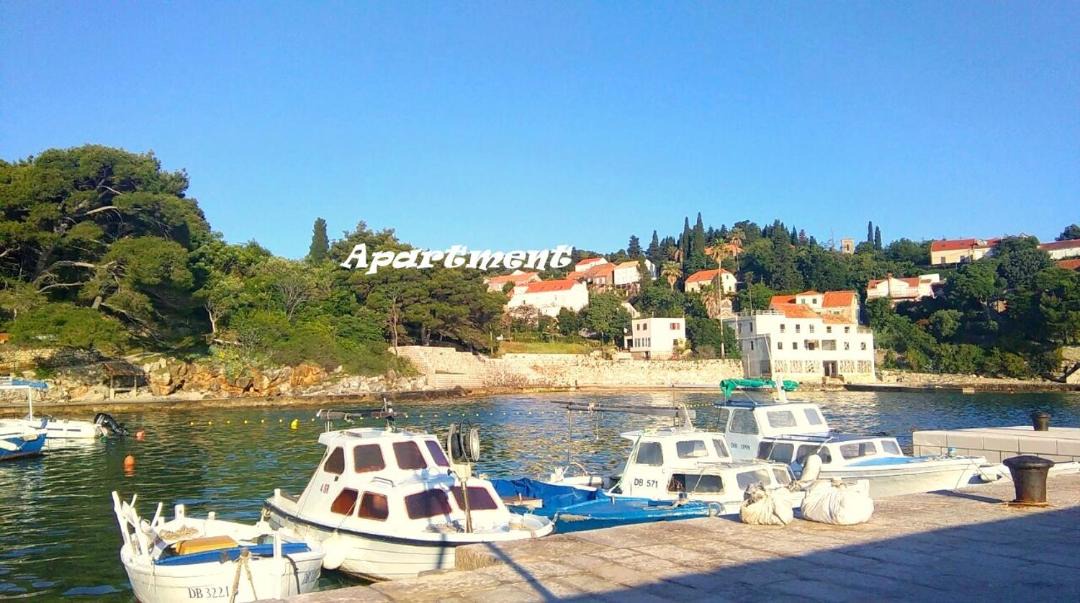 Photo of Others in Kolocep Island