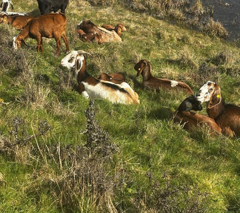 Photo of Others in Frørup