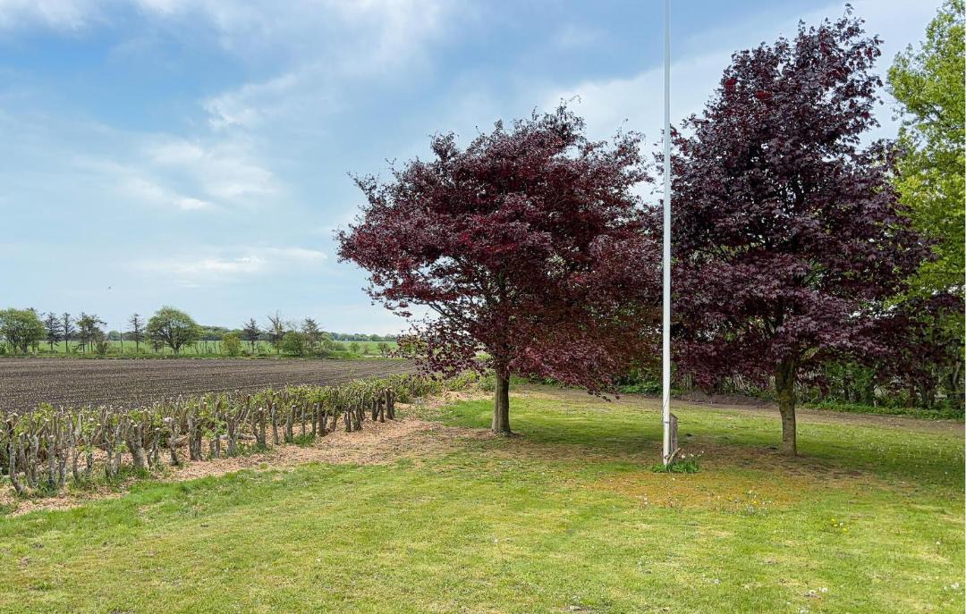Photo of Outdoor in Esbjerg Municipality