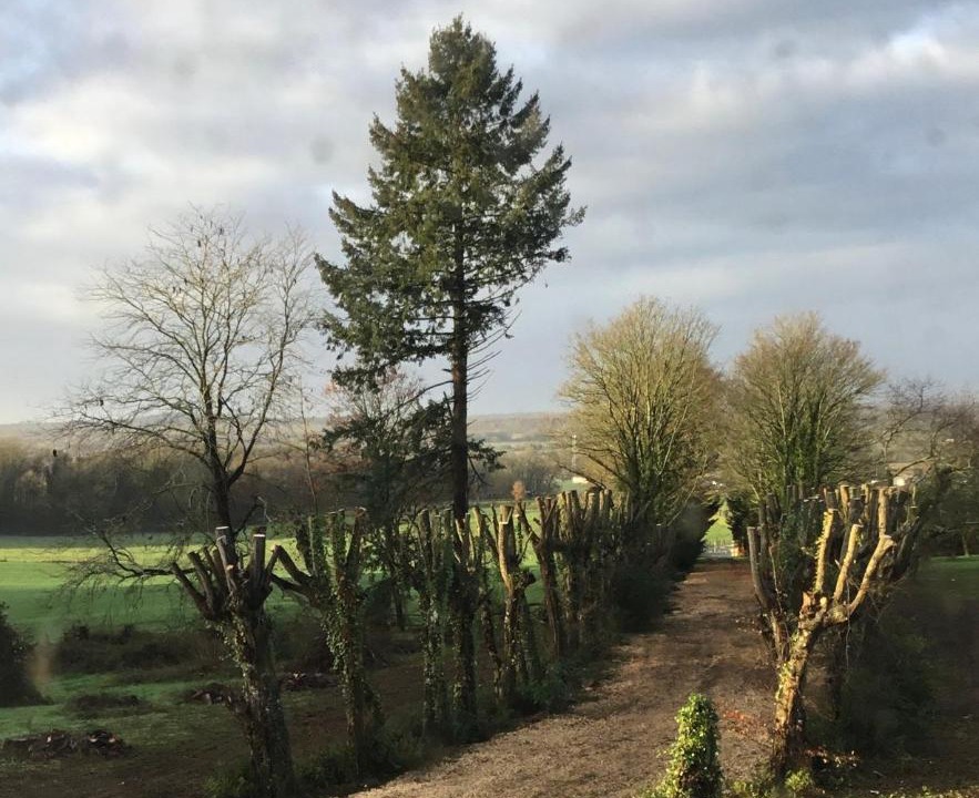 Photo of Others in Rivieres