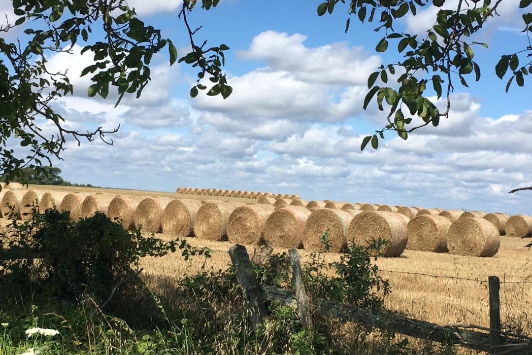 Photo of Others in Rivieres