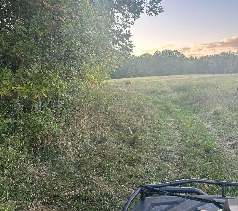 Photo of Others in Smithfield