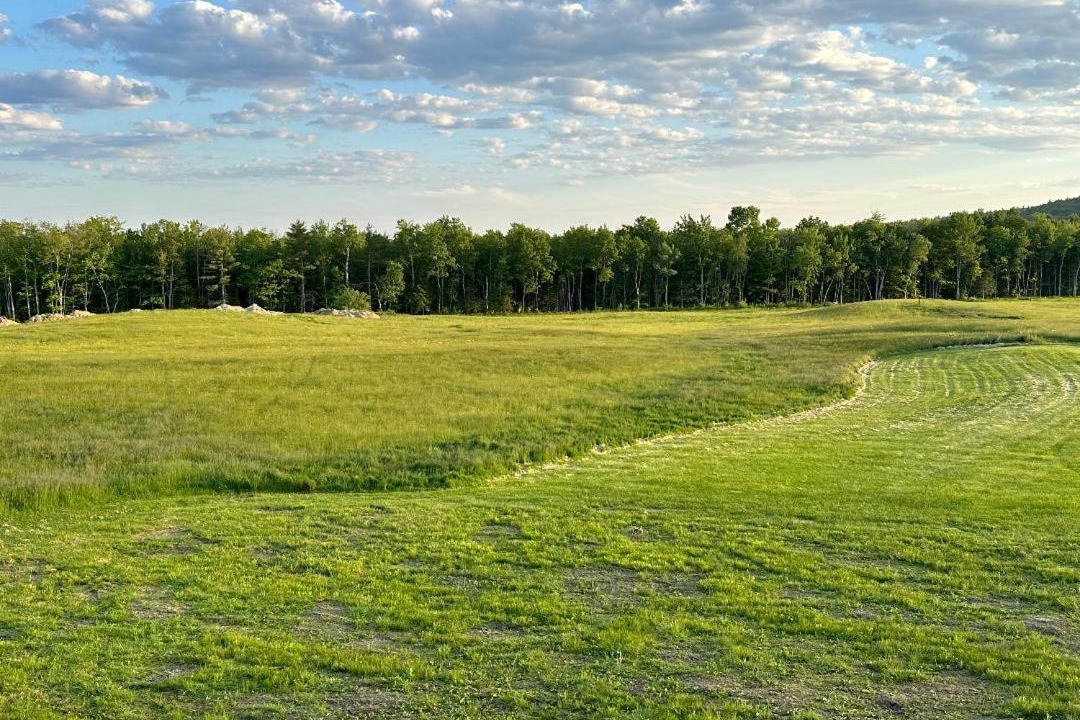 Photo of Others in Smithfield