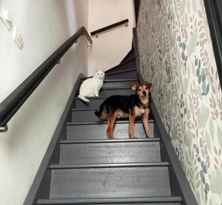 Photo of Others in Aniche