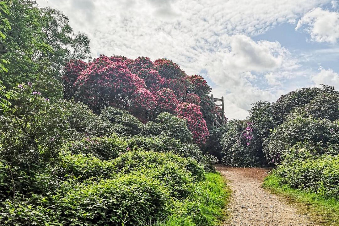 Photo of Others in Freethorpe