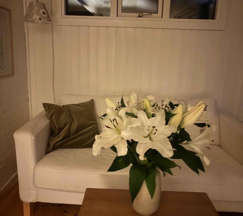 Photo of Others in Jægerspris