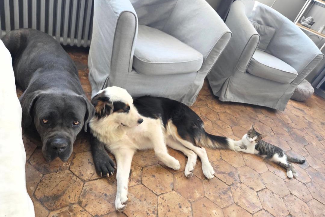 Photo of Others in Pommereux