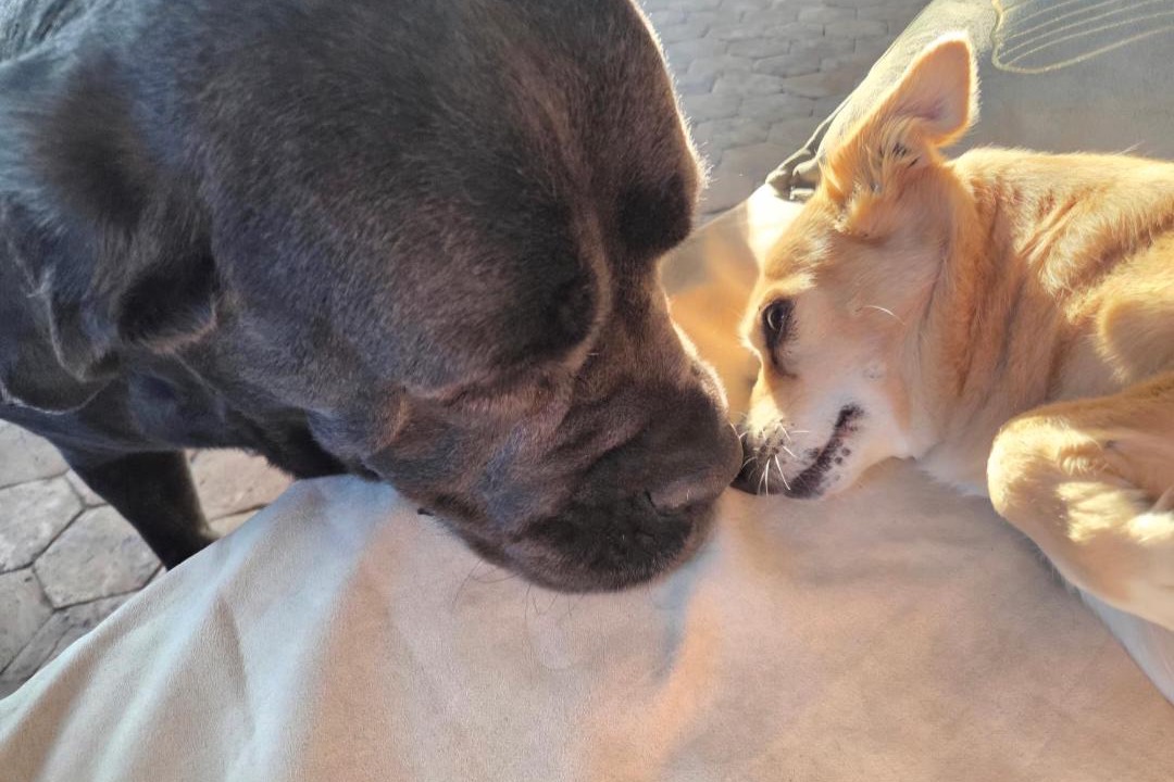 Photo of Others in Pommereux