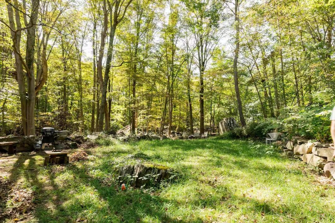 Photo of Others in Mount Marion