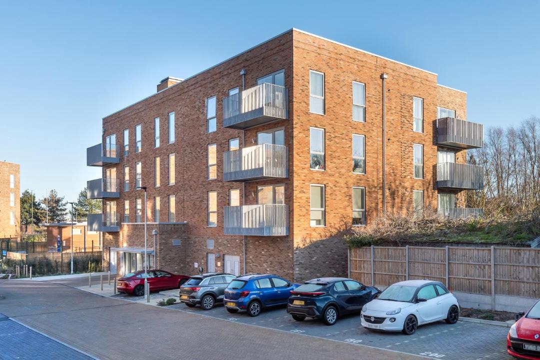 Photo of Others in Stone