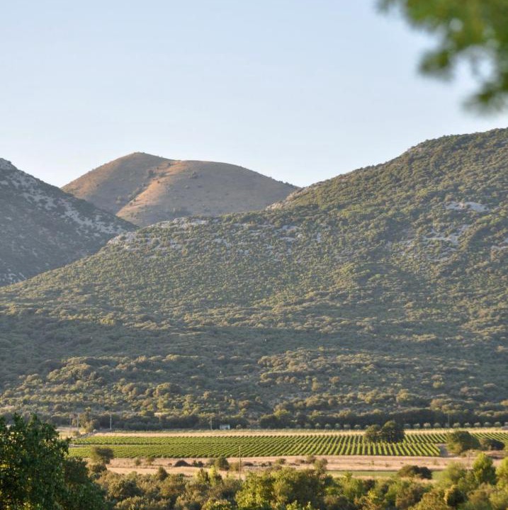 Photo of Others in Moules-et-Baucels