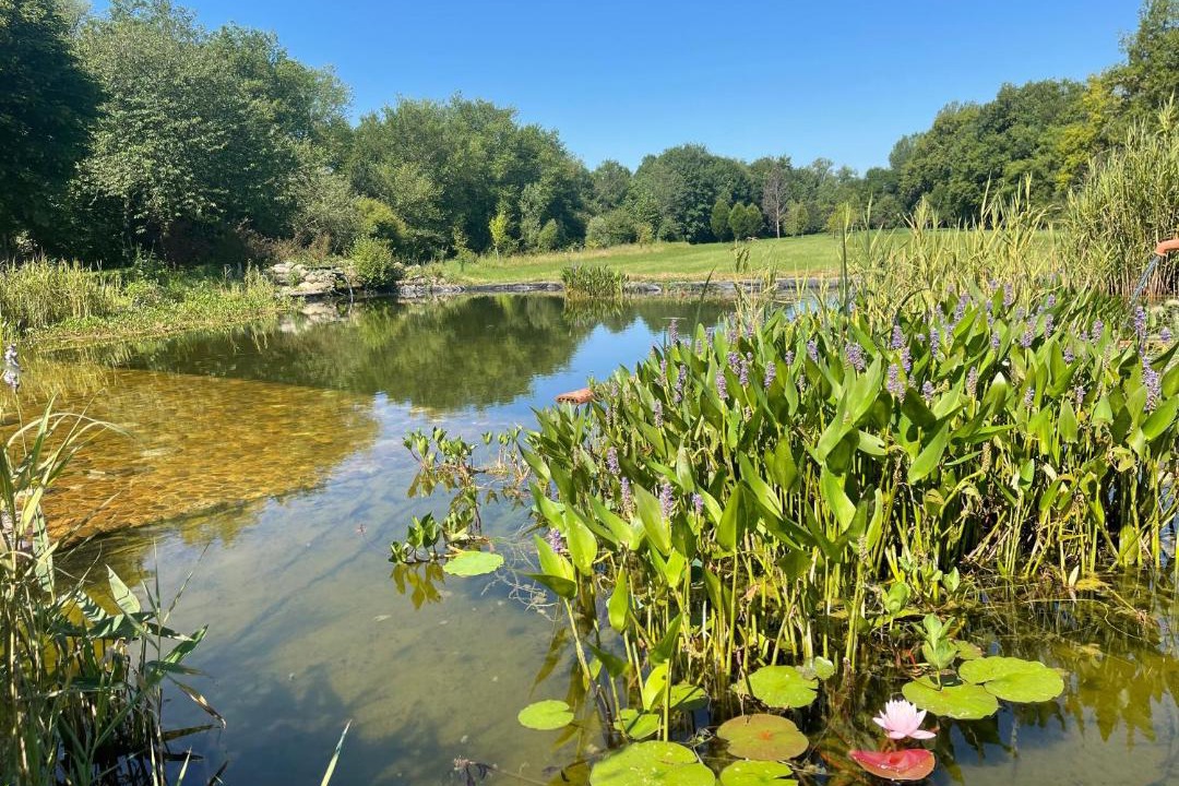 Photo of Others in Samouillan