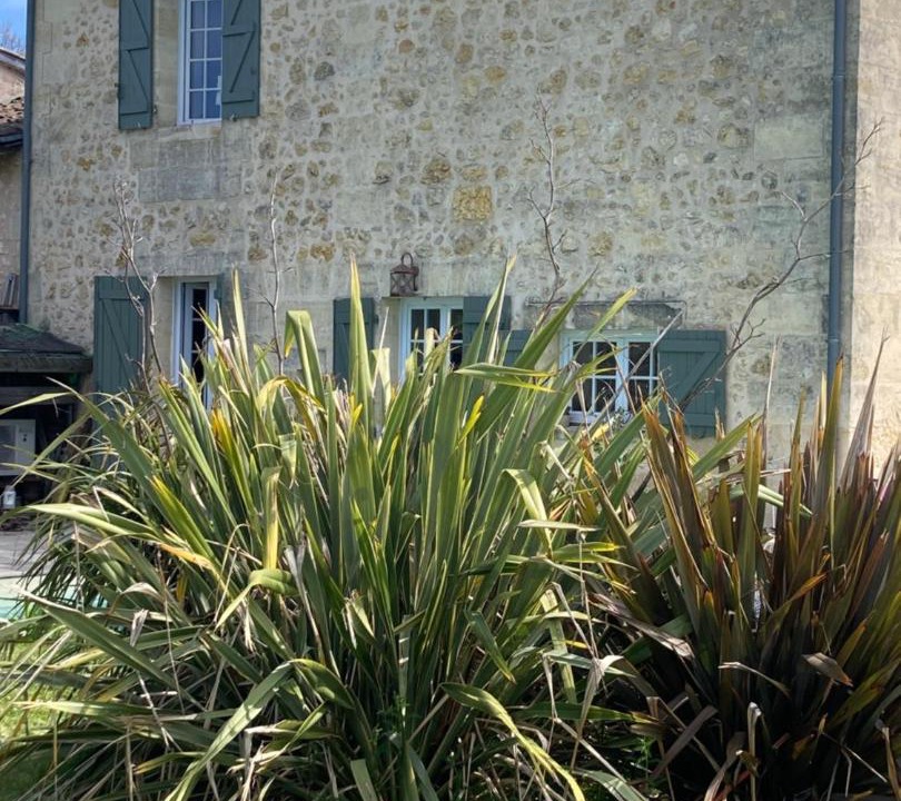 Photo of Others in Saint-Caprais-de-Bordeaux