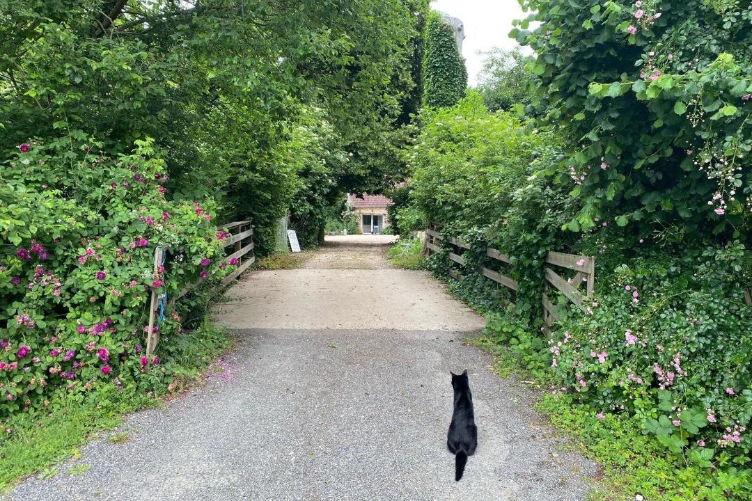 Photo of Others in Fretigney-et-Velloreille