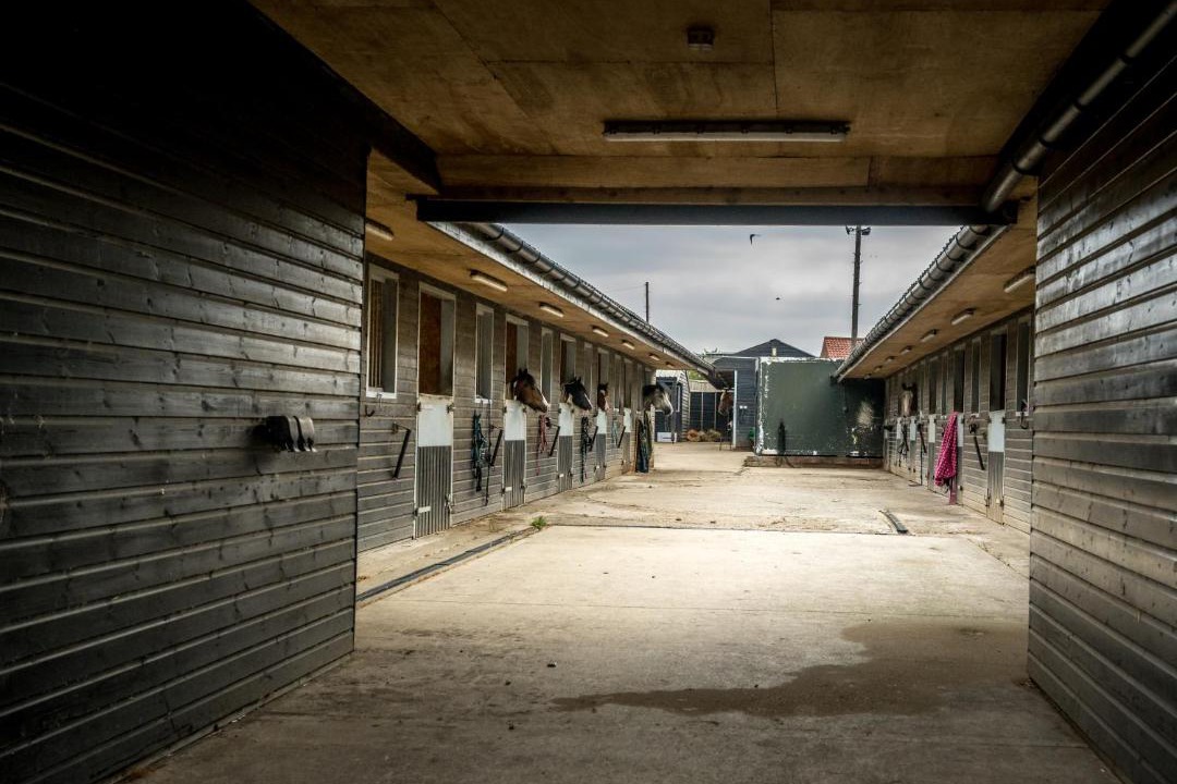 Photo of Others in Hethel