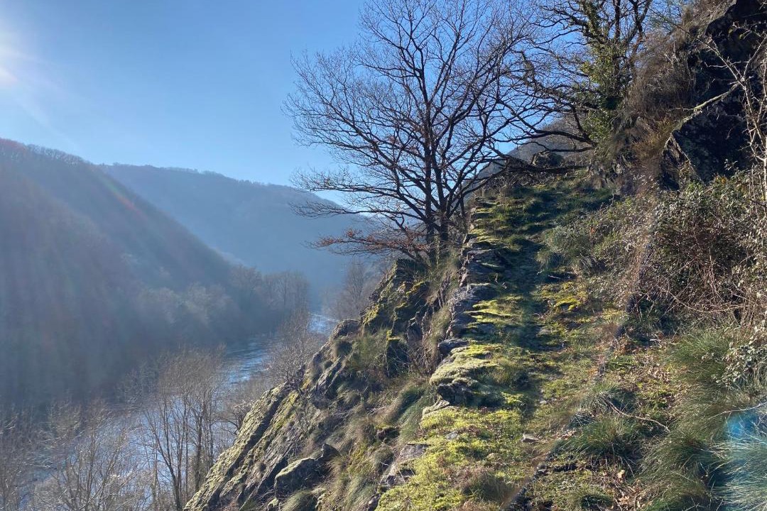 Photo of Others in Enguiales