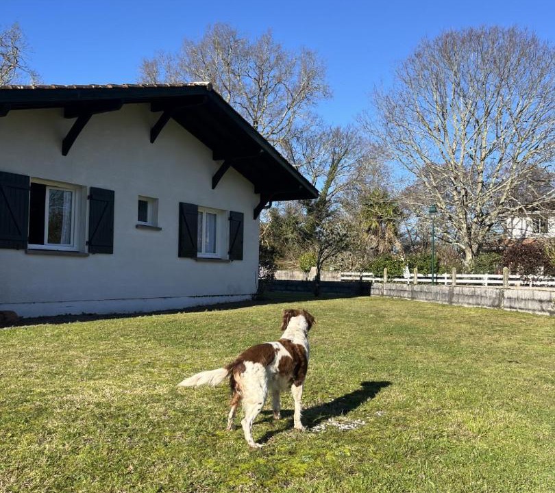 Photo of Others in Mezos