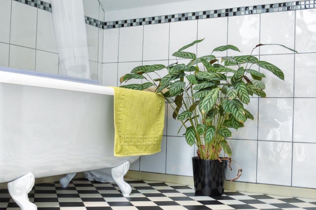 Photo of Others in Colyton