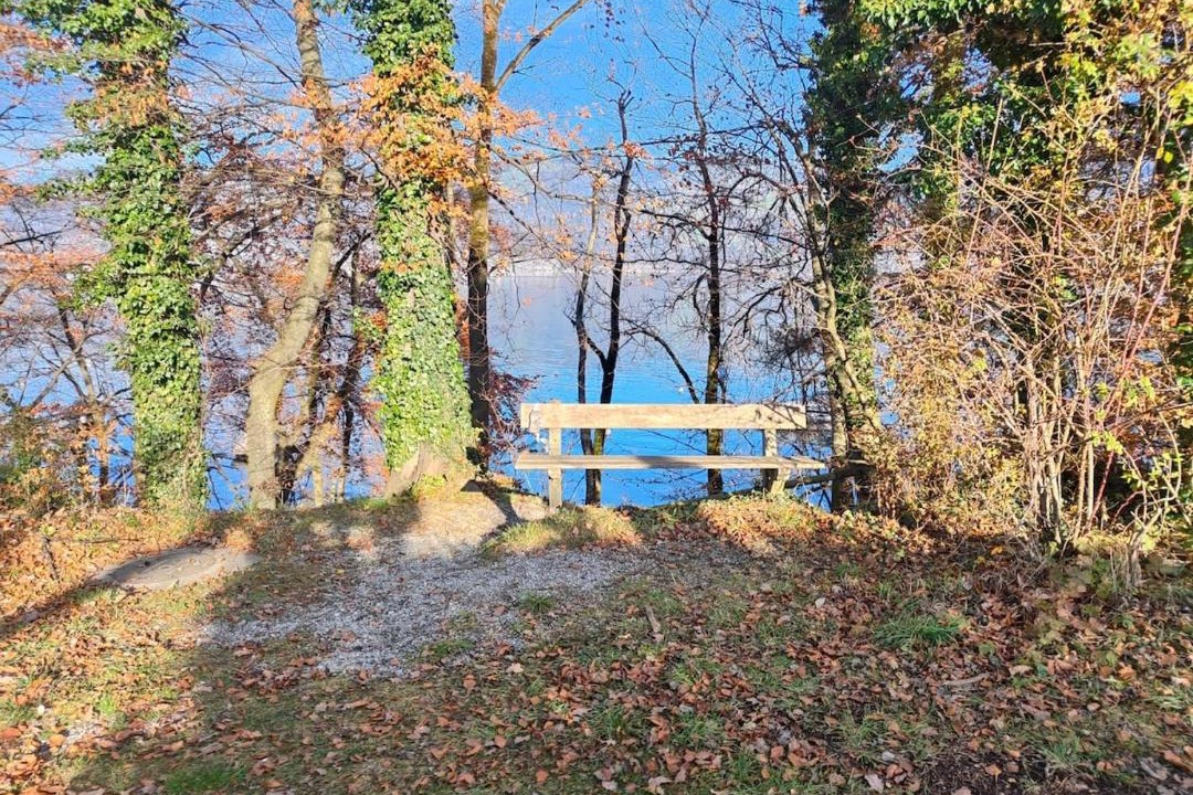 Photo of Others in Einigen