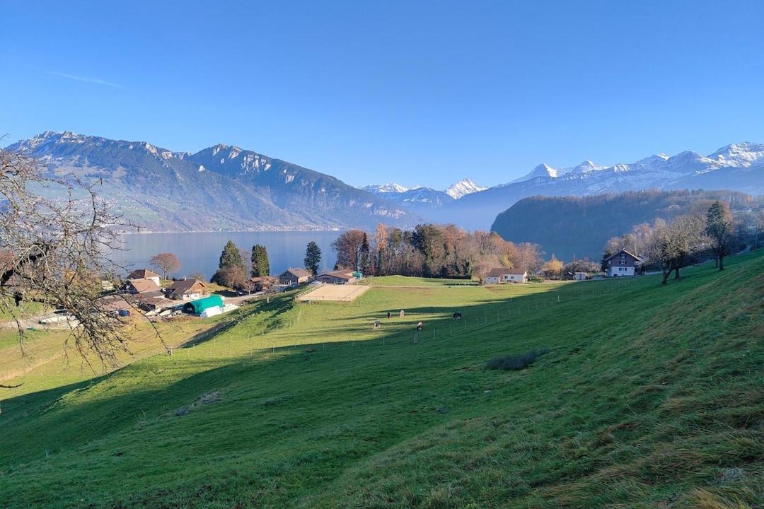 Photo of Others in Einigen