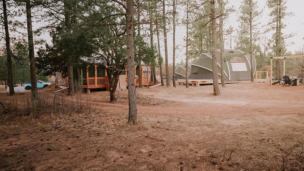 Photo of Others in McIntosh