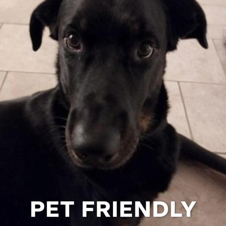 Photo of Others in Beze