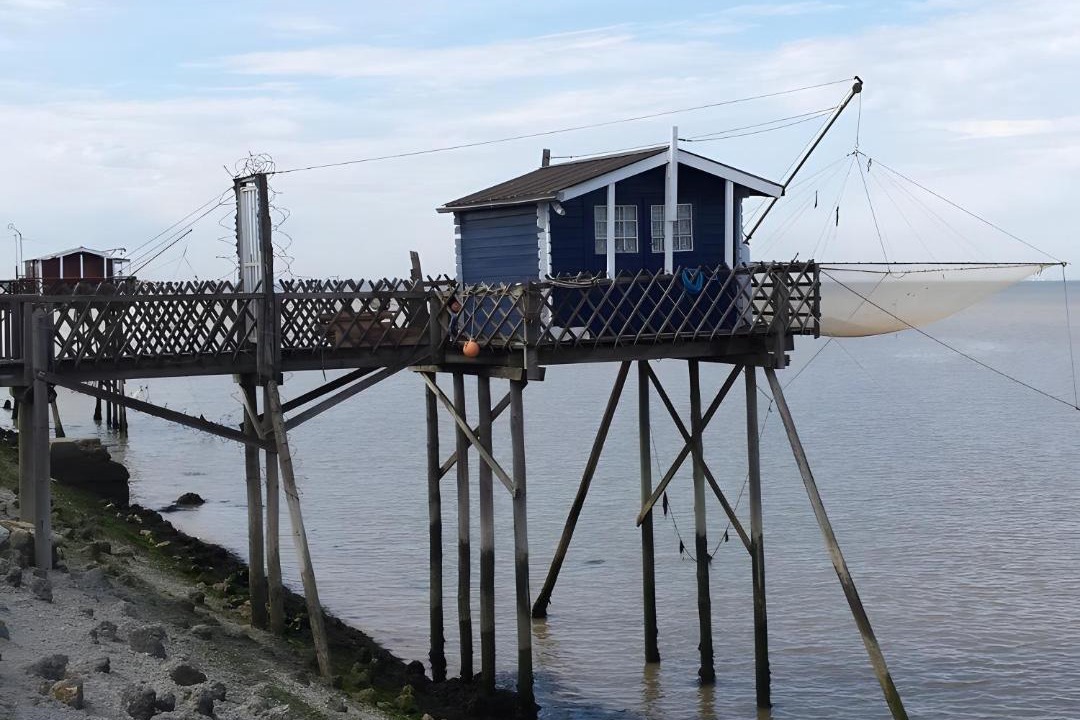 Photo of Others in Begadan