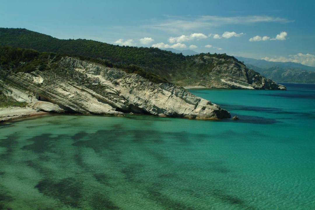 Photo of Others in Patrimonio