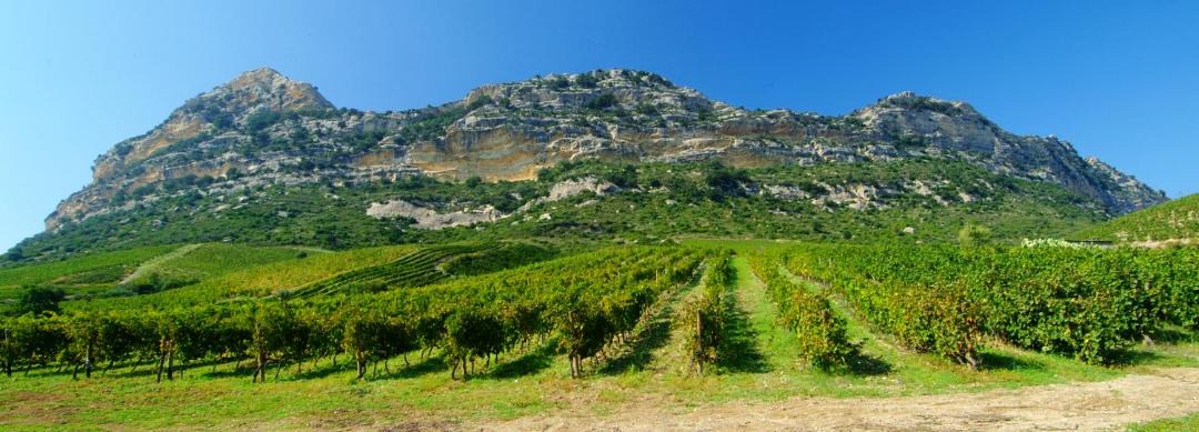 Photo of Others in Patrimonio