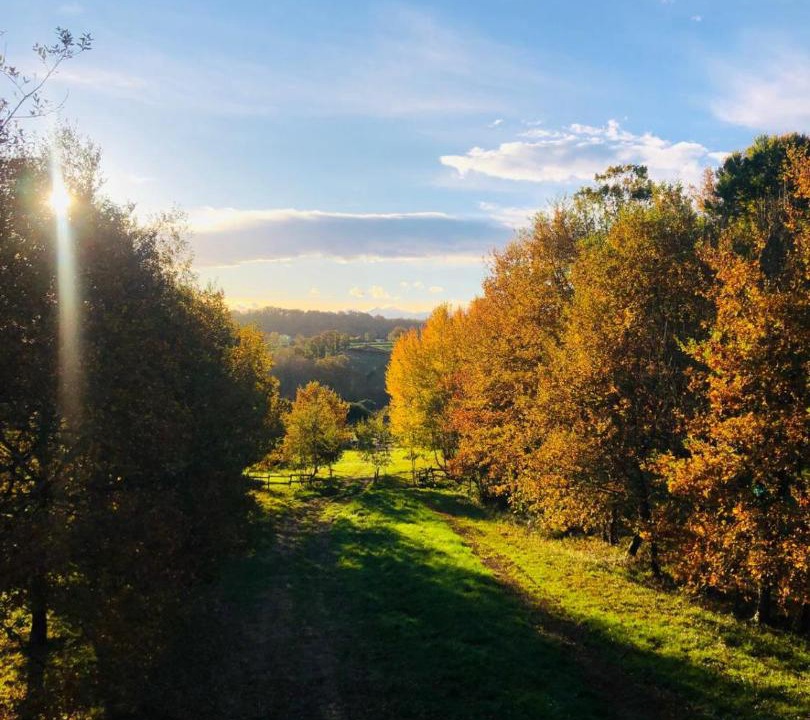 Photo of Others in Cardeilhac