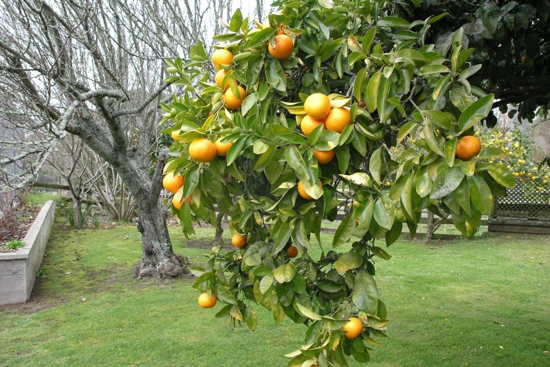 Photo of Others in Karapiro