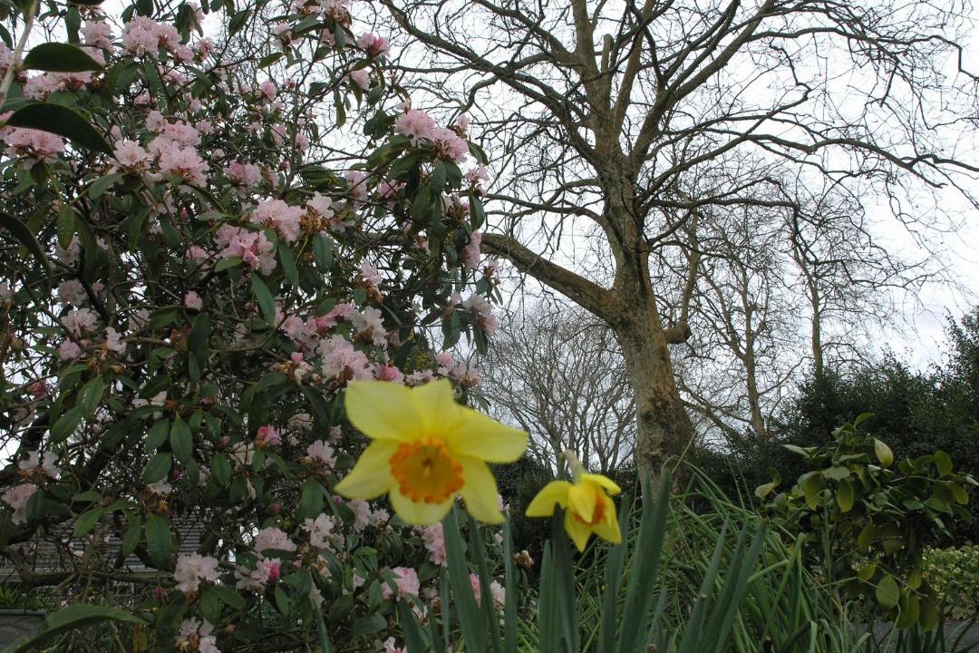 Photo of Outdoor in Karapiro