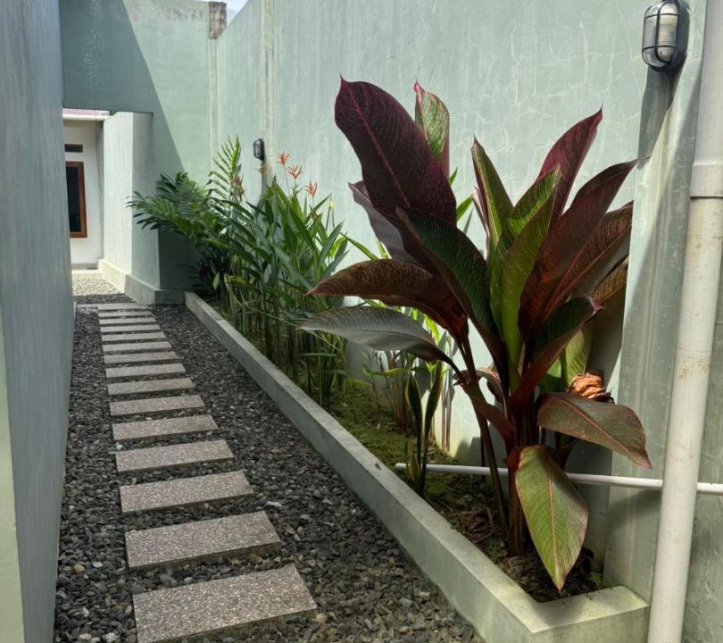 Photo of Others in Rantepao