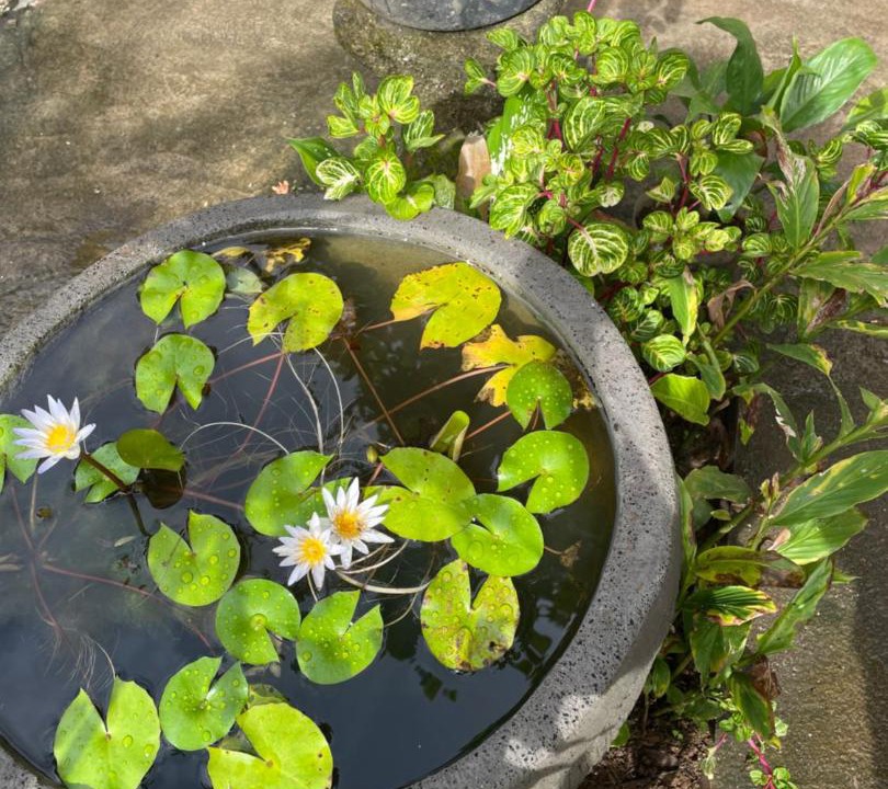 Photo of Others in Pecatu