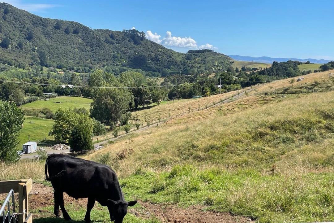 Photo of Others in Thames