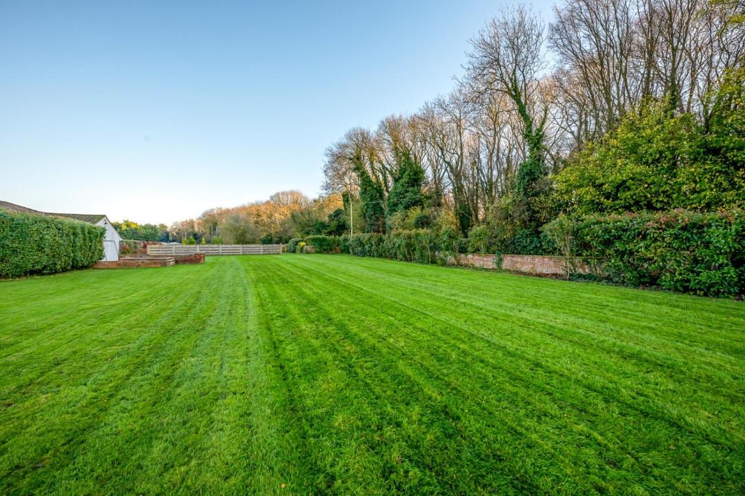 Photo of Others in Brands Hatch