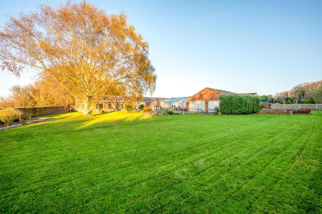 Photo of Others in Brands Hatch