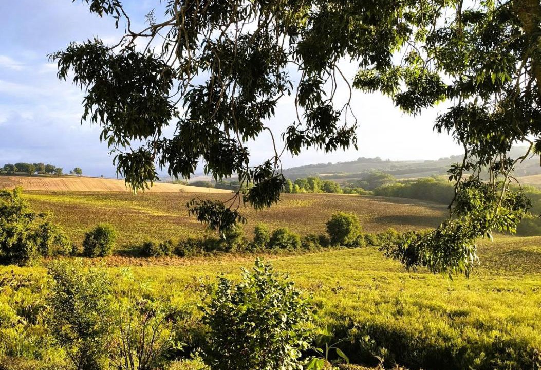 Photo of Others in Marsac