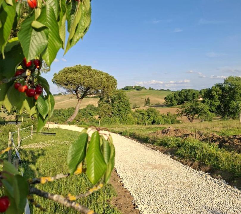 Photo of Others in Marsac