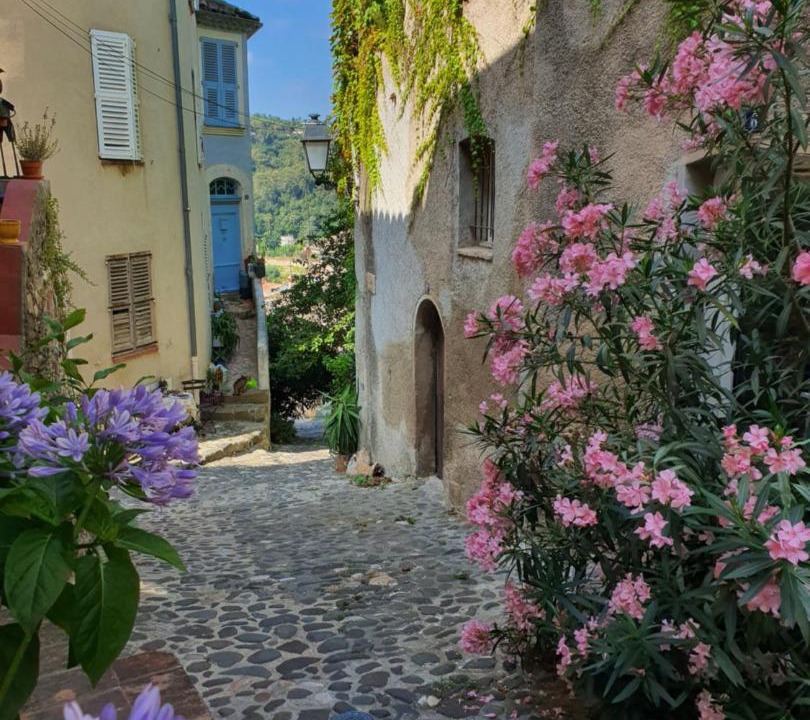 Photo of Others in Biot