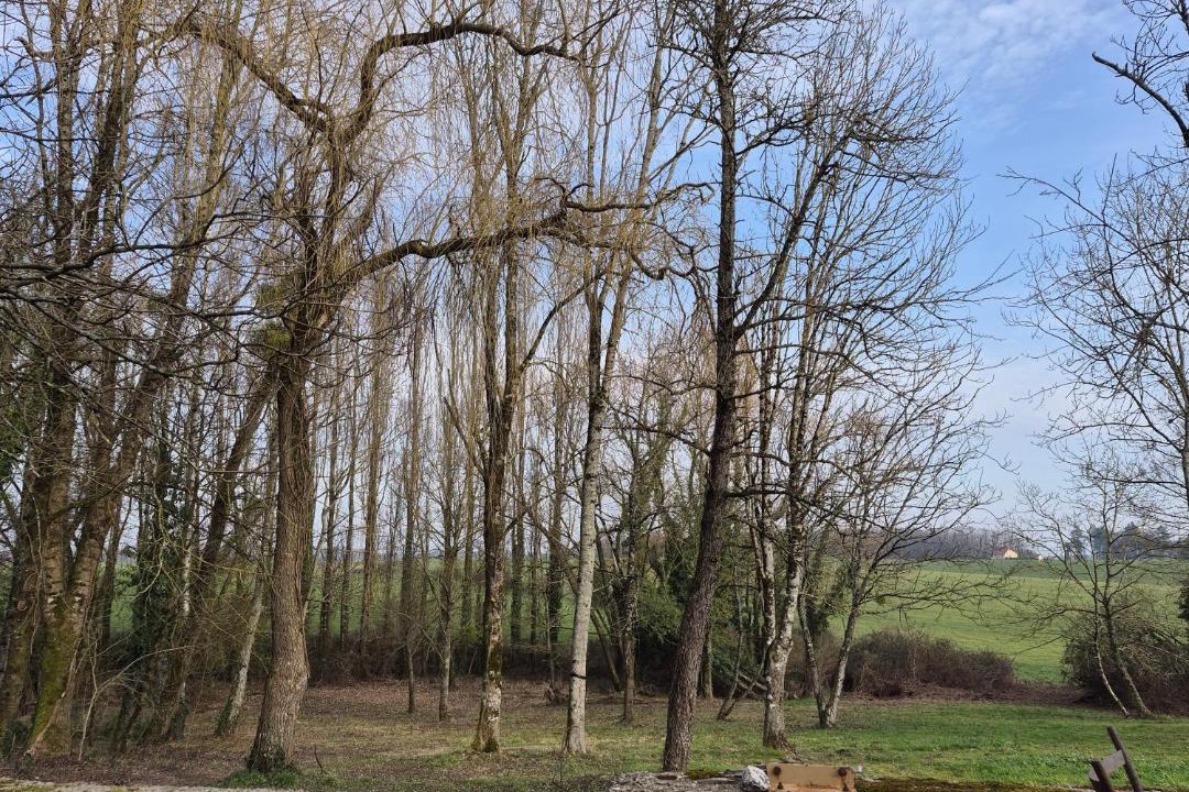 Photo of Others in Les Essards-Taignevaux