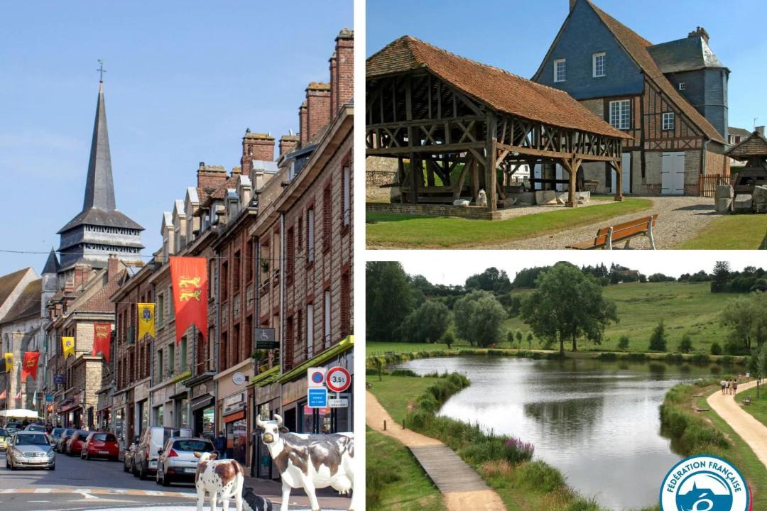 Photo of Others in Neufchatel-en-Bray