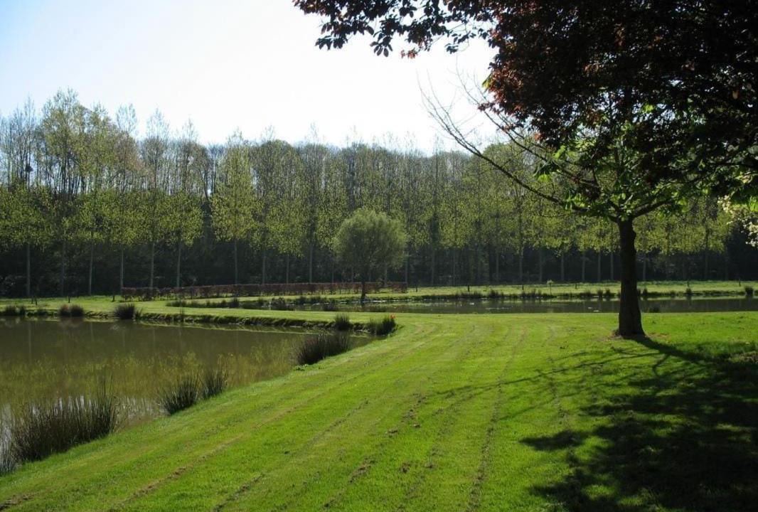 Photo of Others in Bouchamps-les-Craon