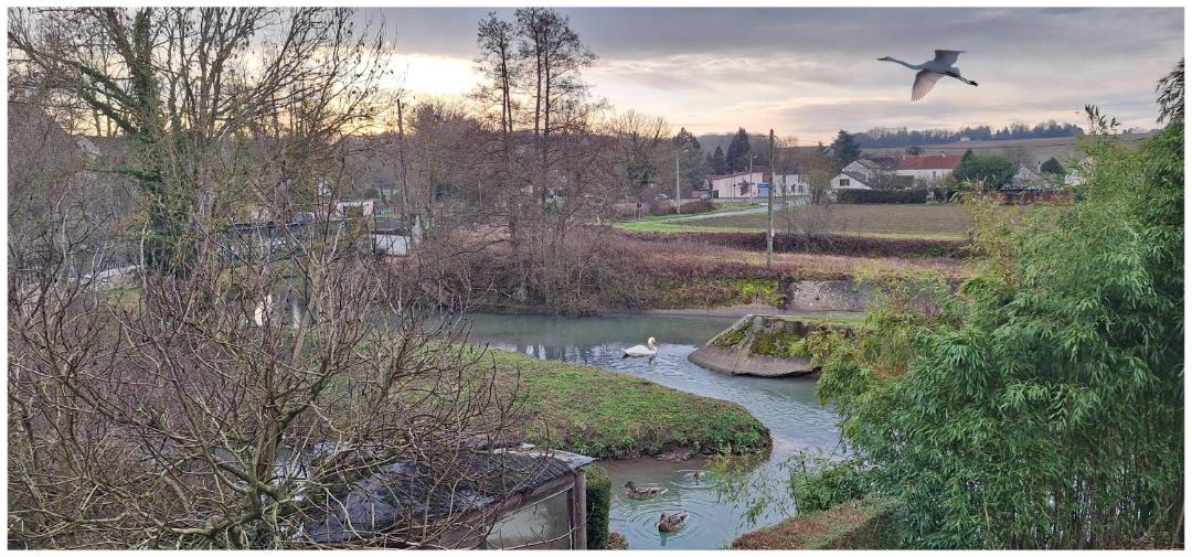Photo of Others in Crecy-en-Brie