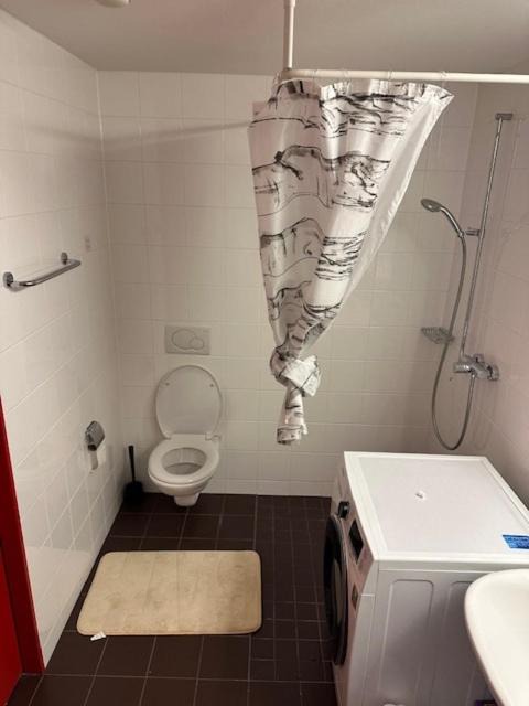 Photo of Bathroom in Wallisellen
