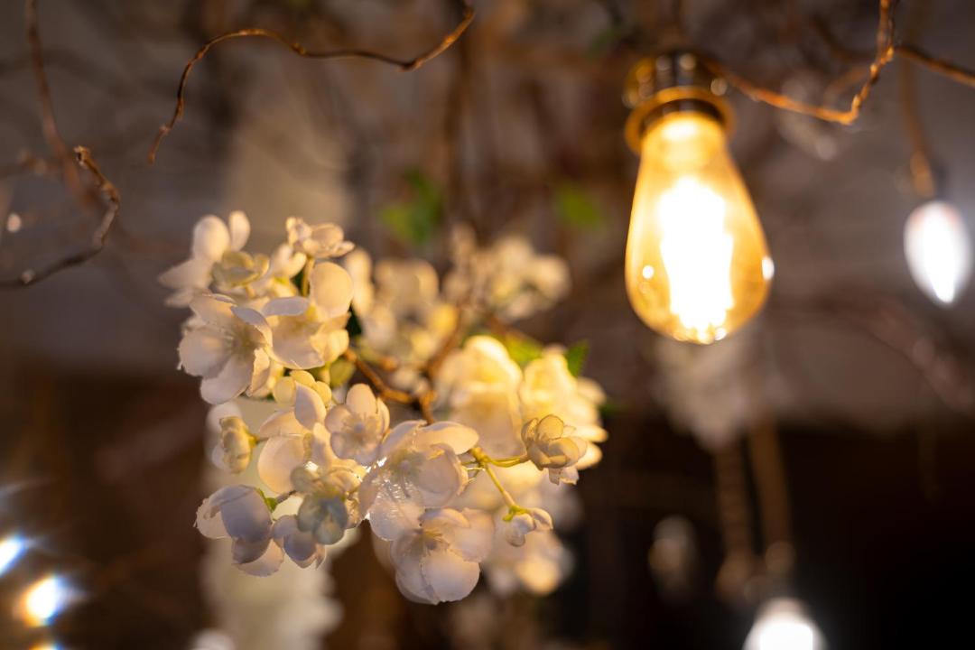 Photo of Others in Ceron