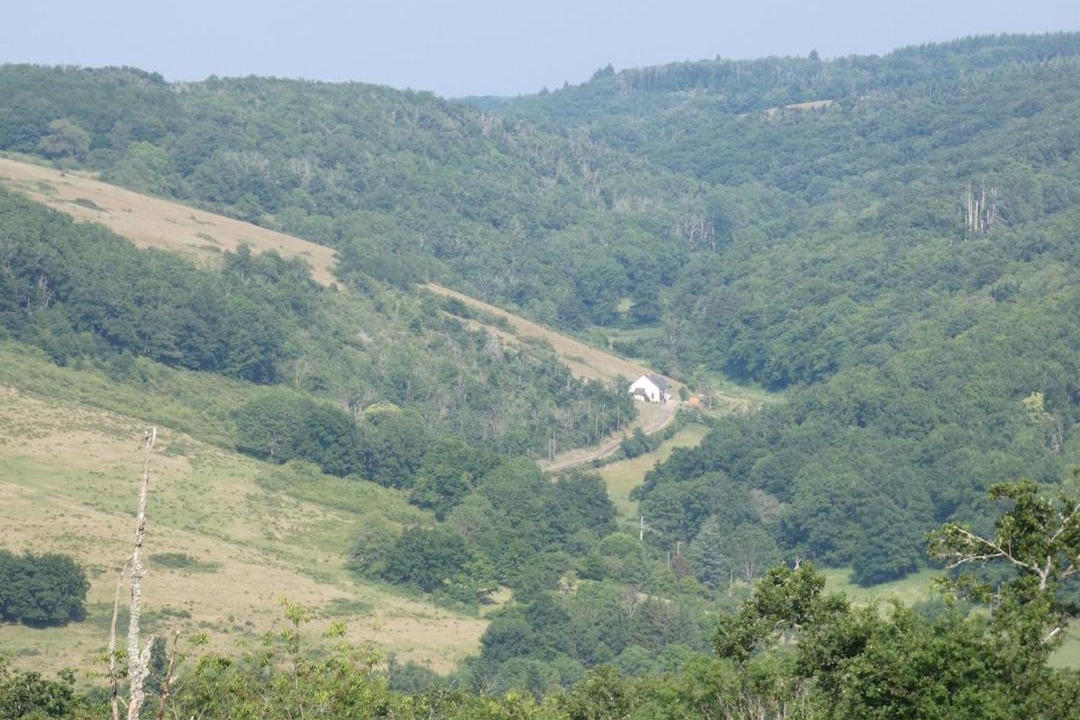 Photo of Others in Chissey-en-Morvan