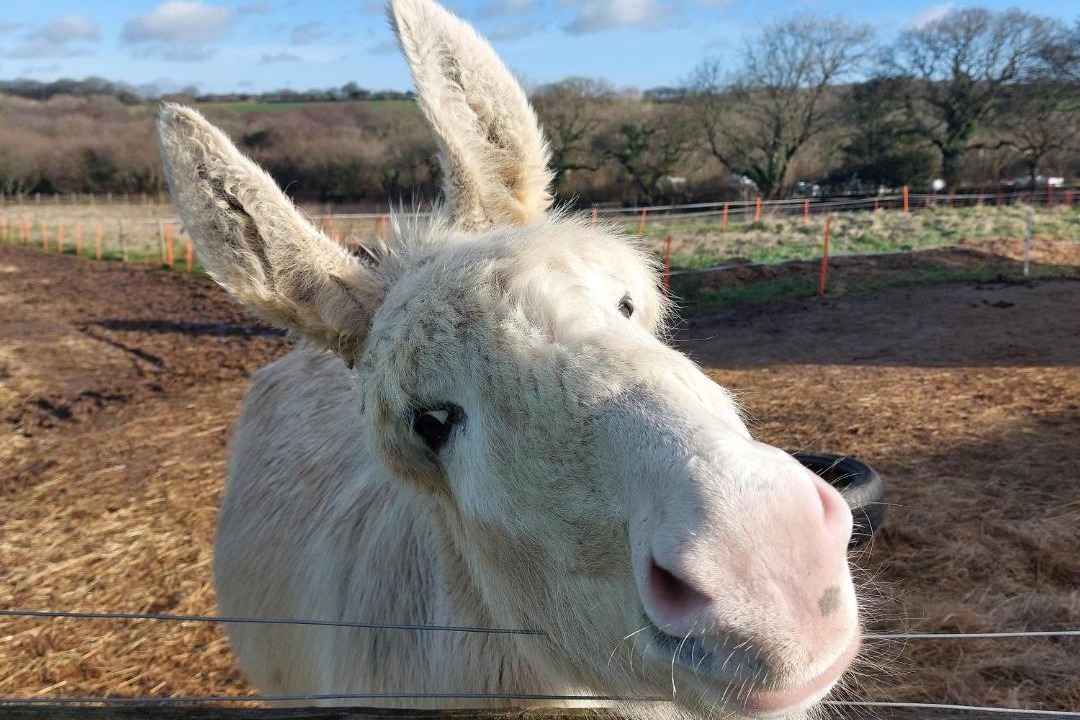 Photo of Others in Grampound