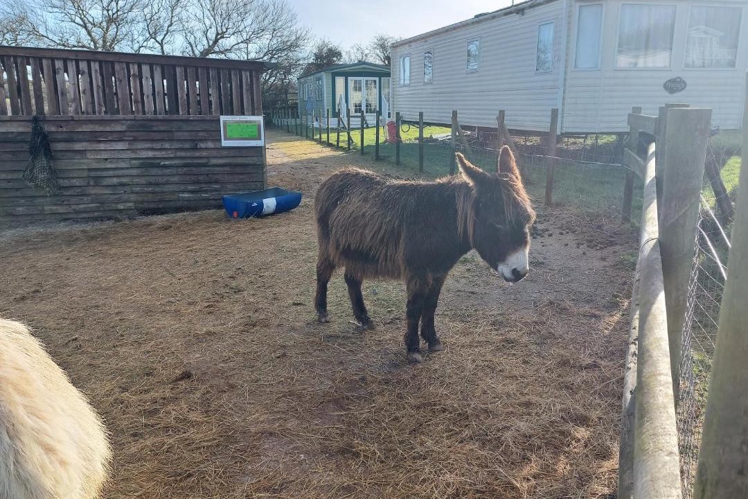 Photo of Others in Grampound